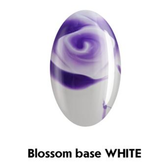 Blossom Base White